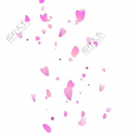 粉色的花瓣手绘插画