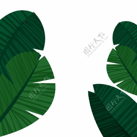 手绘插画绿色植物