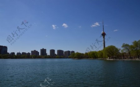 玉渊潭风景