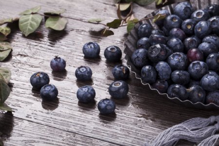 新鲜浆果蓝莓实物图摄影图3