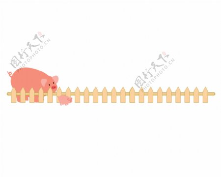小猪栅栏分割线插画