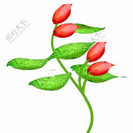 红色花朵图案插图
