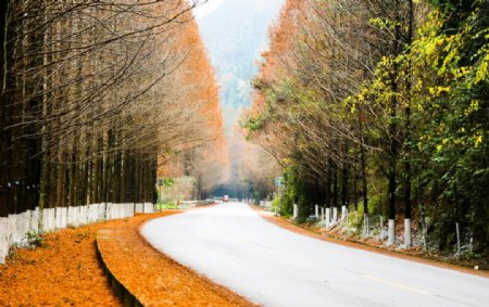 秋天的乡村公路