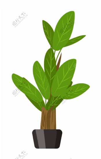 绿叶小树植物盆栽插画