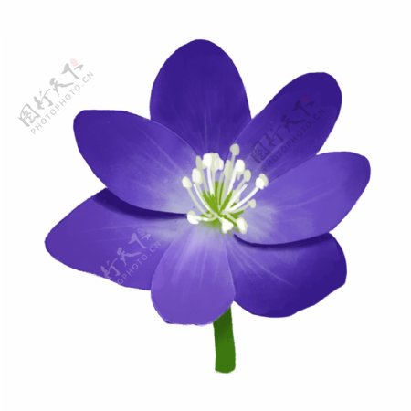 手绘小清新蓝色花朵