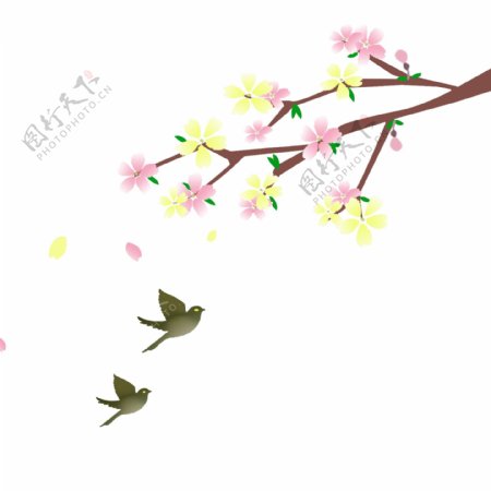 春季樱花与飞鸟免抠