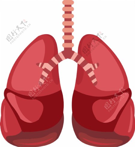 红色手绘人体器官肺矢量免抠素材