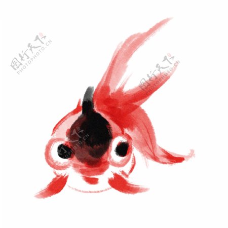 红色的水墨金鱼插画