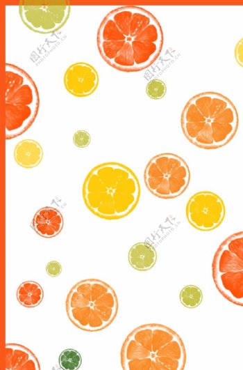 橙子插画背景