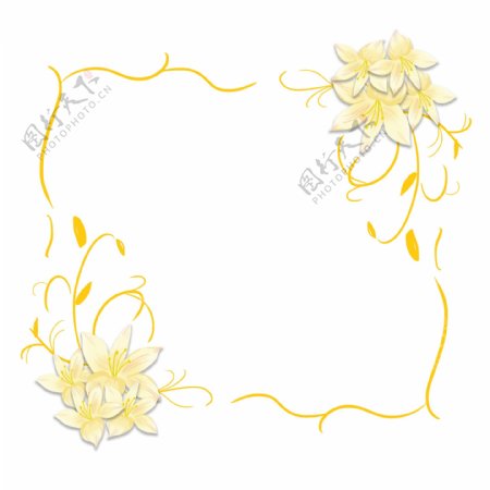 黄色百合花装饰曲线png素材边框下载