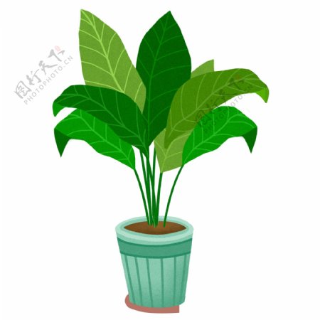 绿色盆栽植物图案