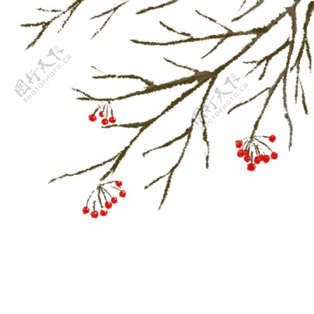 手绘冬天小雪树木植物