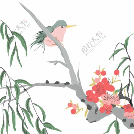 手绘的啄木鸟插画