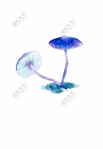 实用蘑菇手绘蘑菇水彩蘑菇