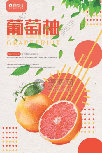 新鲜葡萄柚水果促销海报