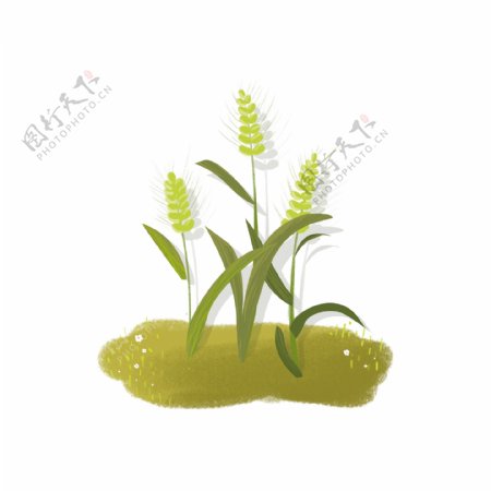 麦子麦穗绿色插画风植物元素