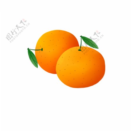 卡通手绘两个橘子