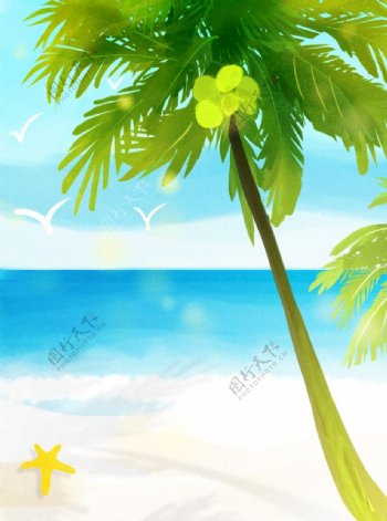 海滩椰树背景