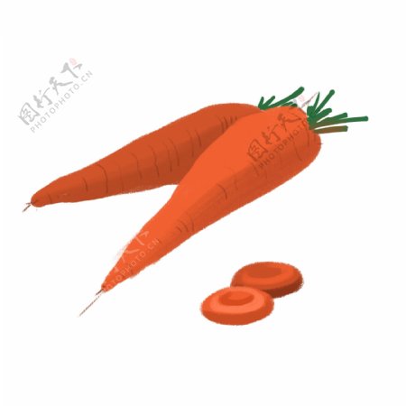 中国画手绘写意蔬菜胡萝卜图