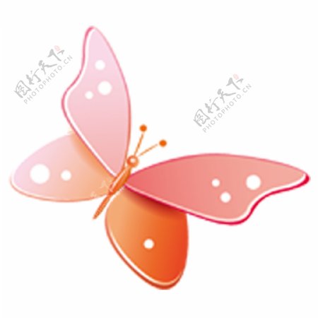 粉色的蝴蝶装饰素材