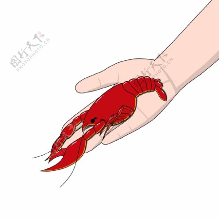 手握龙虾小龙虾手绘素材