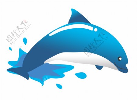 蓝色海水海豚