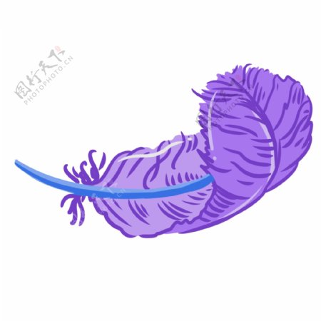 精美紫色羽毛