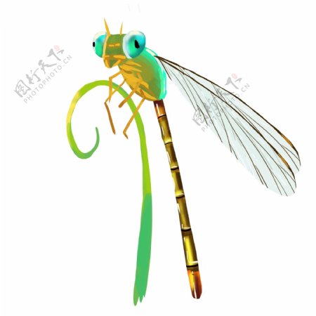 绿色蜻蜓昆虫