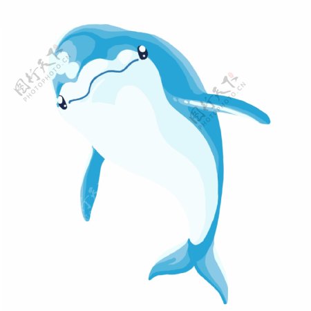 蓝色动物海豚