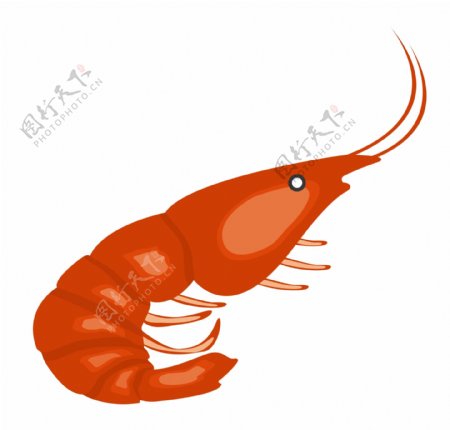 红色海洋生物虾