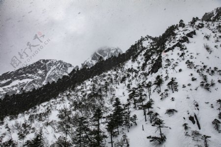 雪峰雪景自然风光15