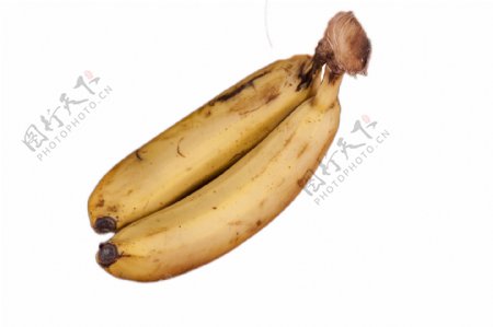 两根香甜软糯的香蕉