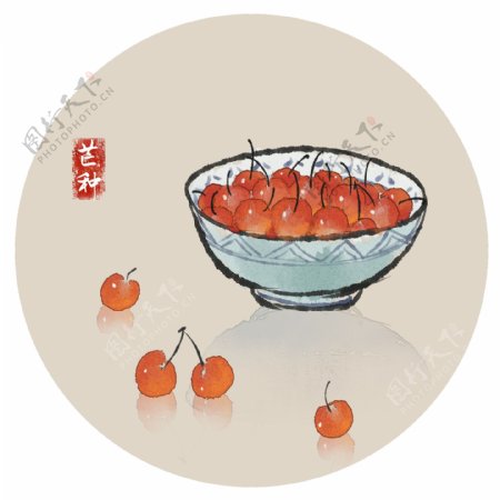 芒种樱桃夏季水果24节气鲜果