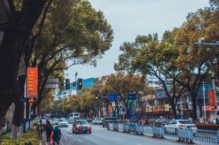 桂林种满树的马路街道