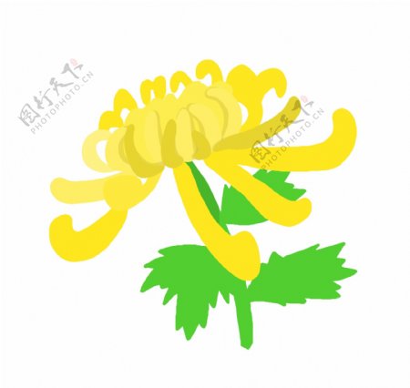 黄色花朵卡通插画