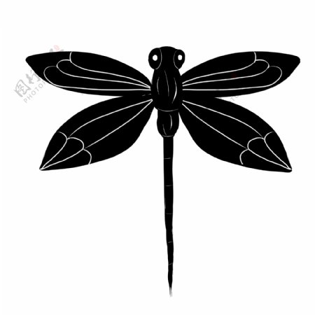 蜻蜓纹身装饰插画