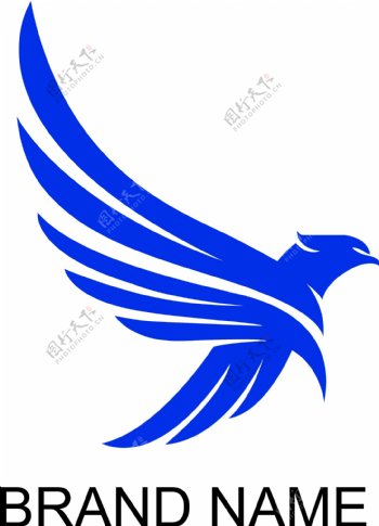 雄鹰logo图片