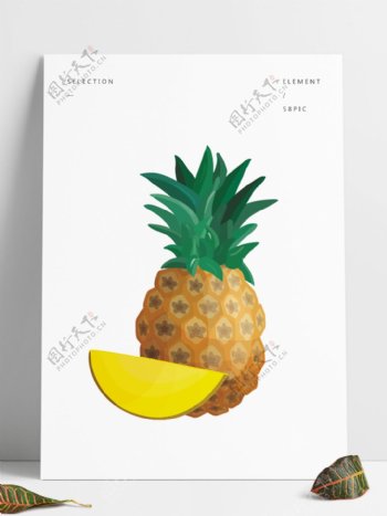 矢量水果绘画插画菠萝