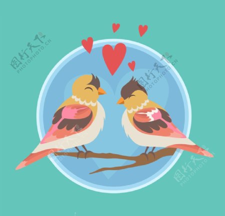 浪漫的情侣鸟