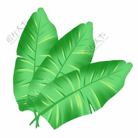 卡通热带植物叶子插图