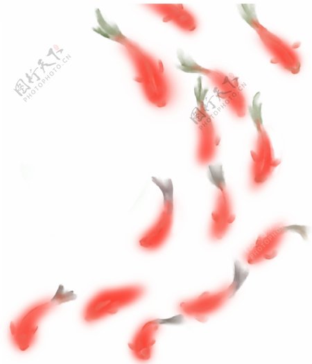 一群红色的鱼图案