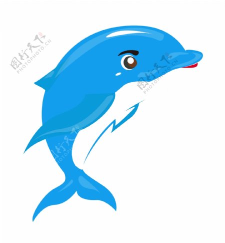 水生物小海豚