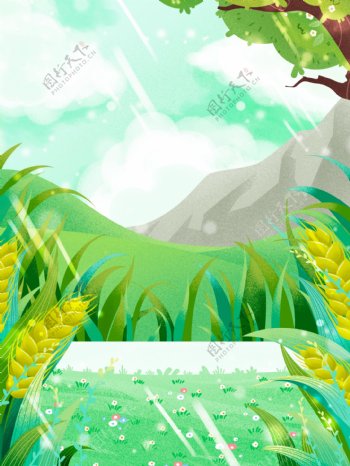 清新夏季麦穗草地背景设计