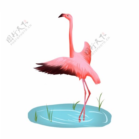粉色火烈鸟动物夏天元素亮眼装饰免抠png