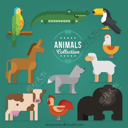 10款扁平化可爱动物设计