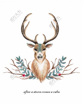 鹿头装饰画