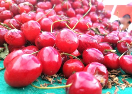 水果红色樱桃