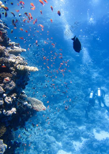 海滩海洋自然天空水