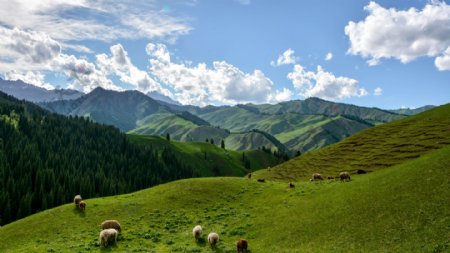 新疆科克尔斯陶牧区风景