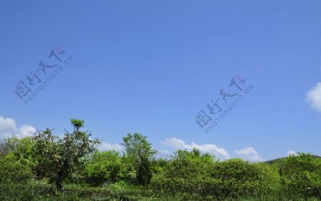 海南槟榔谷蓝蓝的白云天